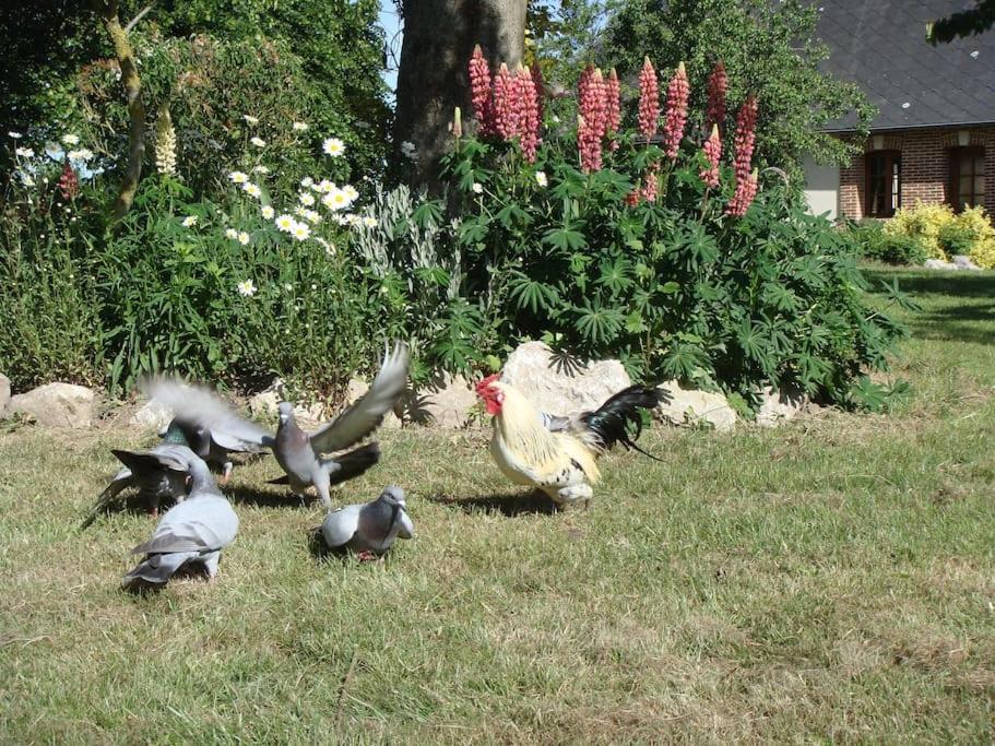 Les Coquelicots Βίλα Nibas Εξωτερικό φωτογραφία