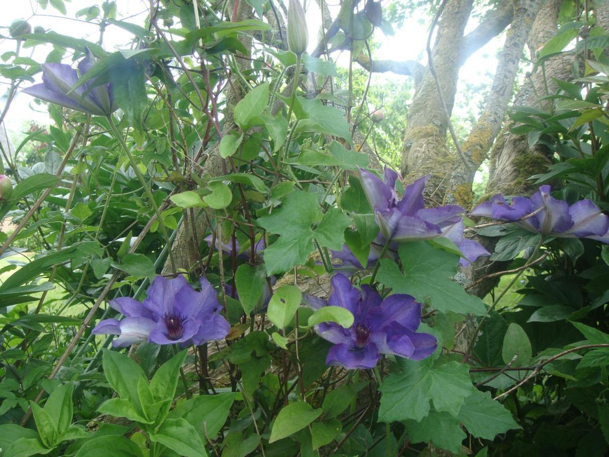 Les Coquelicots Βίλα Nibas Εξωτερικό φωτογραφία