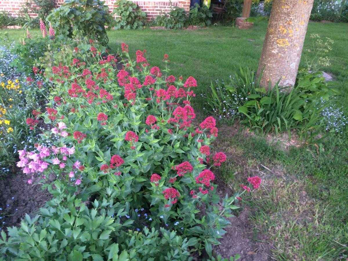 Les Coquelicots Βίλα Nibas Εξωτερικό φωτογραφία