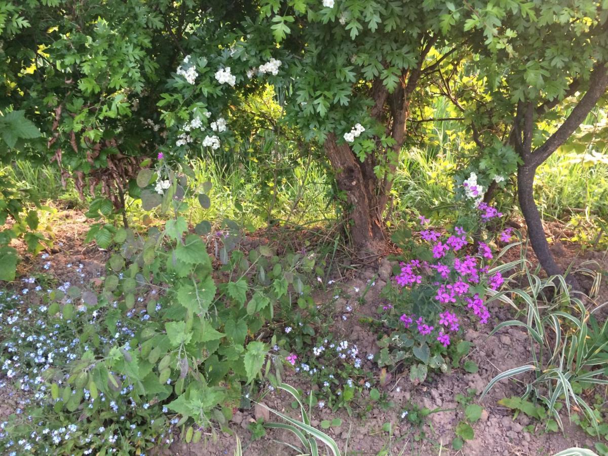 Les Coquelicots Βίλα Nibas Εξωτερικό φωτογραφία